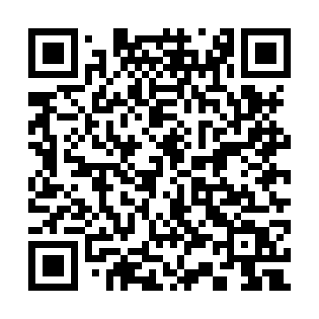 QR code for 335HWT
