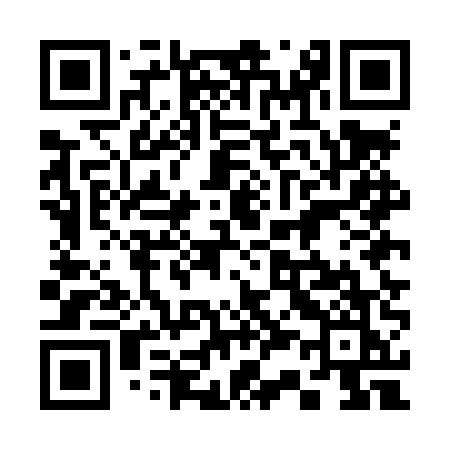 QR code for 335LUK