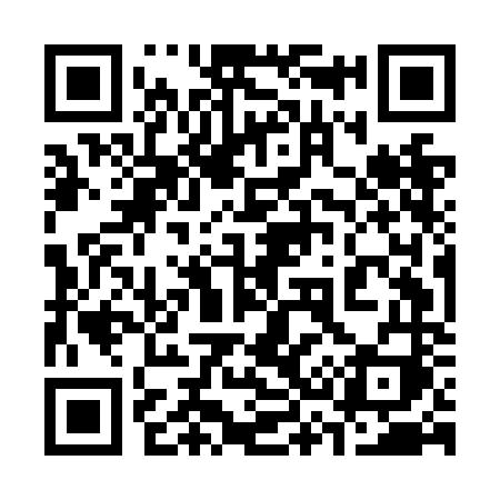 QR code for 335NNI