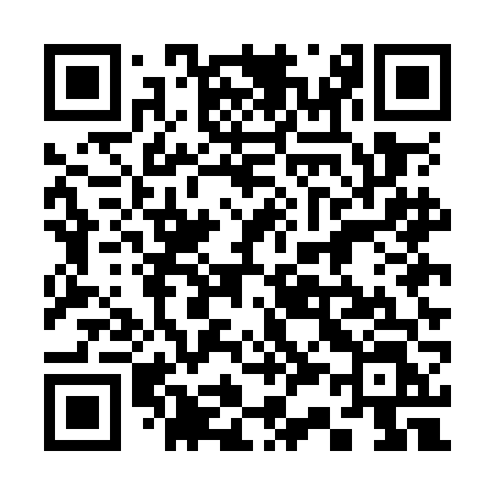 QR code for 335OFL