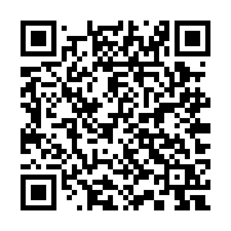 QR code for 335PKR