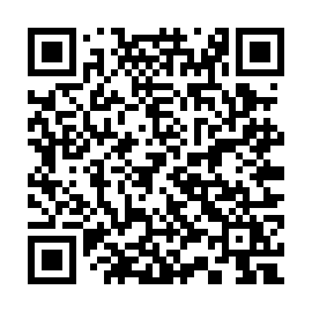 QR code for 335POY