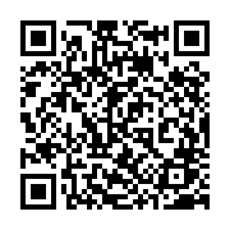 QR code for 335QNR