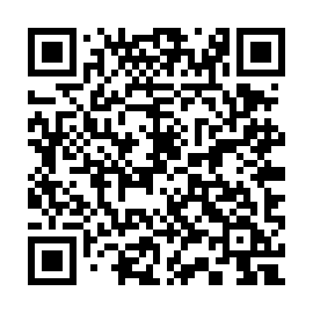 QR code for 335TIF