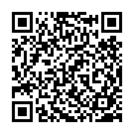QR code for 335TIL