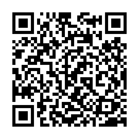 QR code for 335TRY