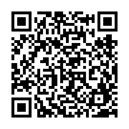 QR code for 335VIF