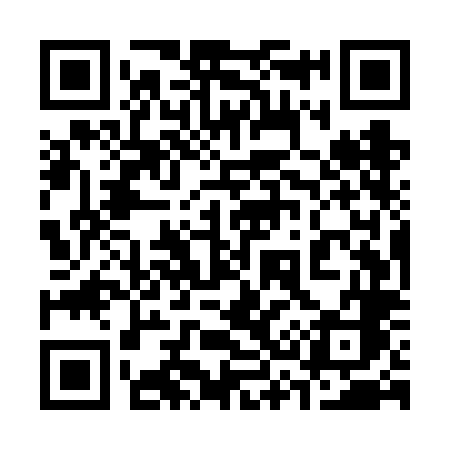QR code for 335VLC