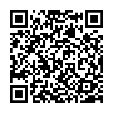 QR code for 335YTY