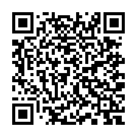QR code for 336DNH