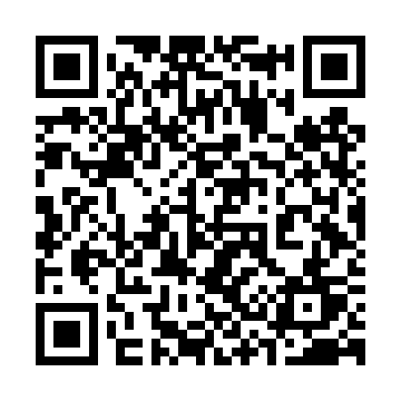 QR code for 336DST