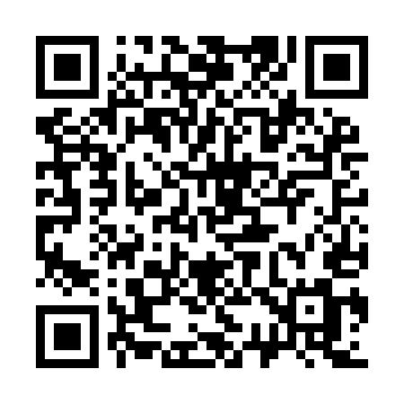 QR code for 336IEM
