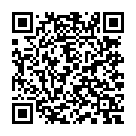 QR code for 336LGT