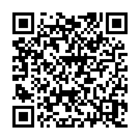 QR code for 336MSV