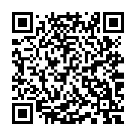 QR code for 336ZIO