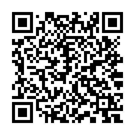 QR code for 336ZSX