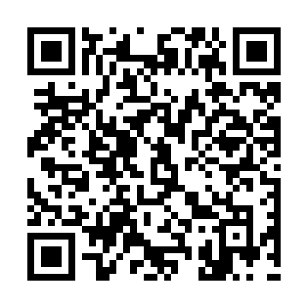 QR code for 336ZVO