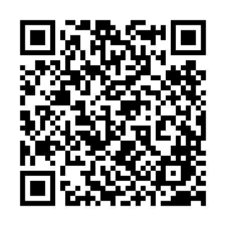 QR code for 338DNN