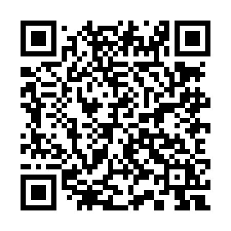 QR code for 338LJX