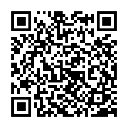 QR code for 338MGS