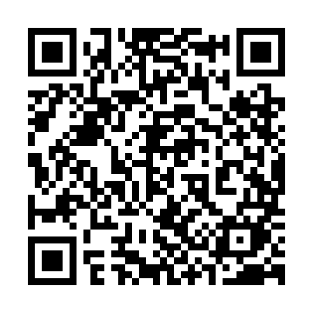 QR code for 338SMM