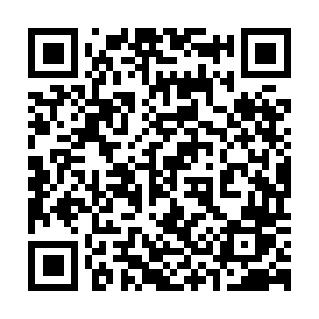 QR code for 338XDR