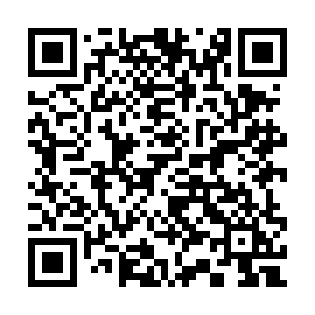 QR code for 339DHI