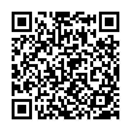 QR code for 339SMM