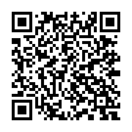 QR code for 339TDM