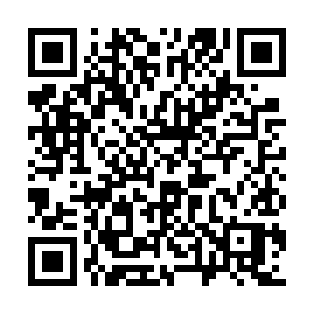 QR code for 341FYP