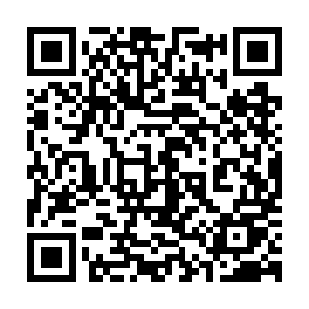 QR code for 341WMU