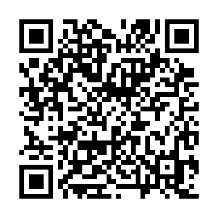 QR code for 343CHO