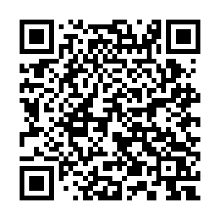 QR code for 355BDS
