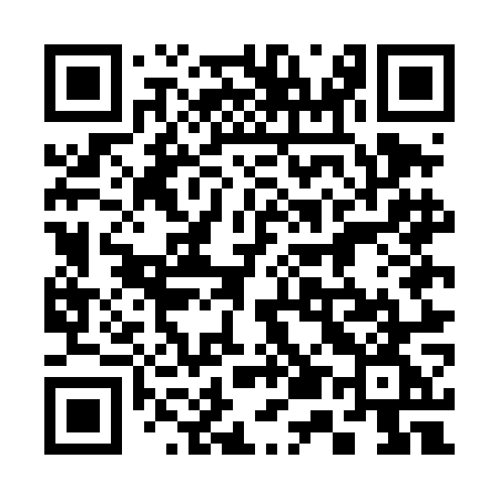 QR code for 355DOG