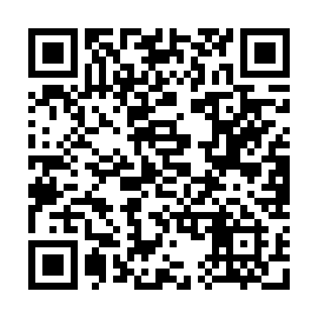 QR code for 355FSI
