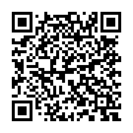 QR code for 355LVX