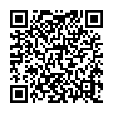 QR code for 355MKZ