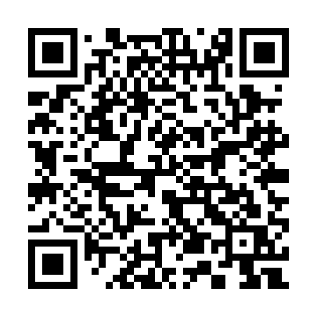 QR code for 355PAS