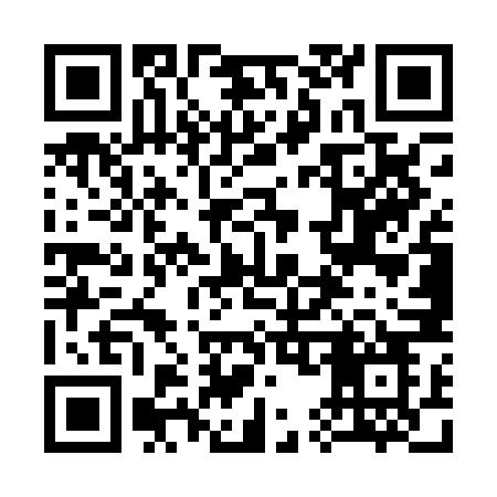 QR code for 355PNO