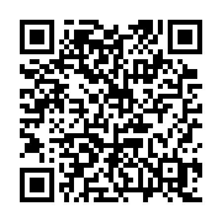 QR code for 368SSD