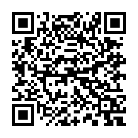 QR code for 369DOT