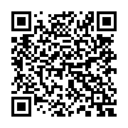 QR code for 369LUI