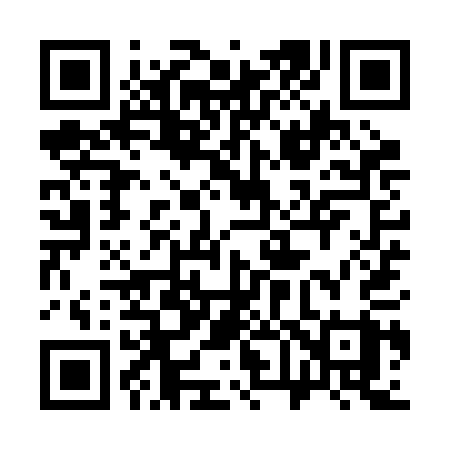 QR code for 369RAY