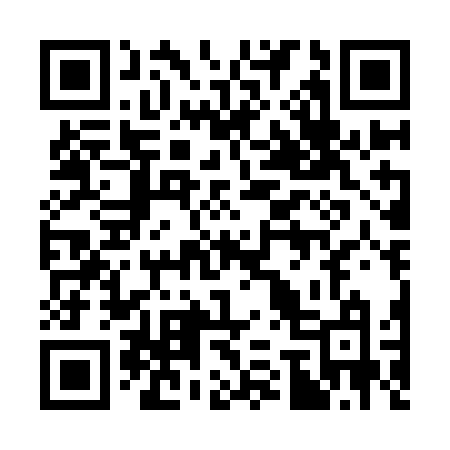 QR code for 370IFM