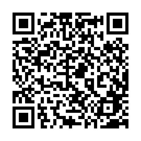 QR code for 370PPB