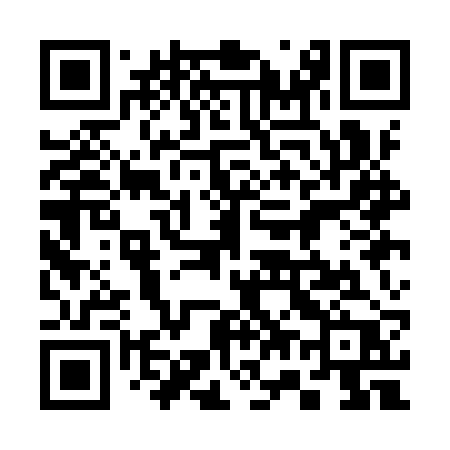 QR code for 371IRP