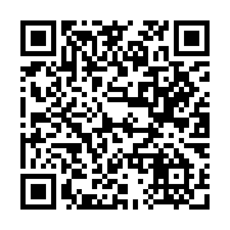 QR code for 376IMM