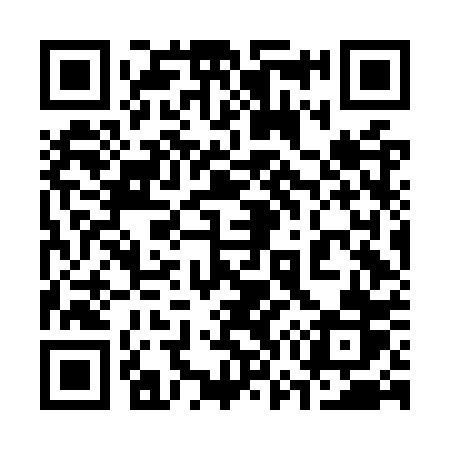 QR code for 376OPR