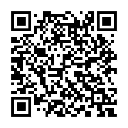 QR code for 379BSL