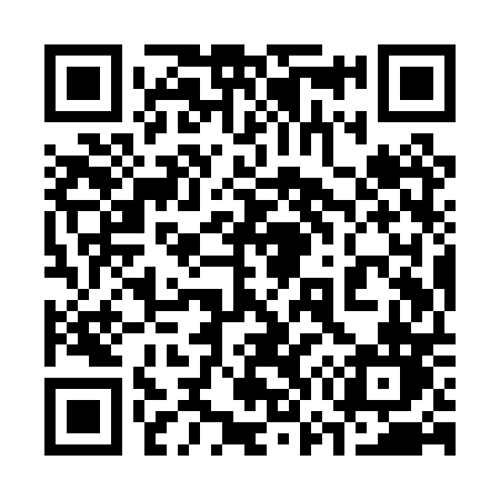QR code for 379PPN